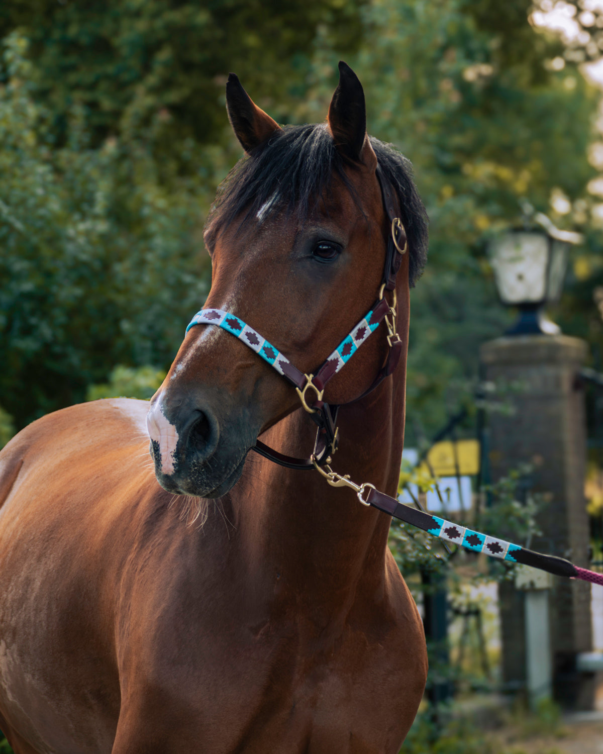 Gepersonaliseerde polo halster - Turquesa